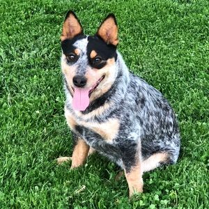 Meet your Posher, Kathy